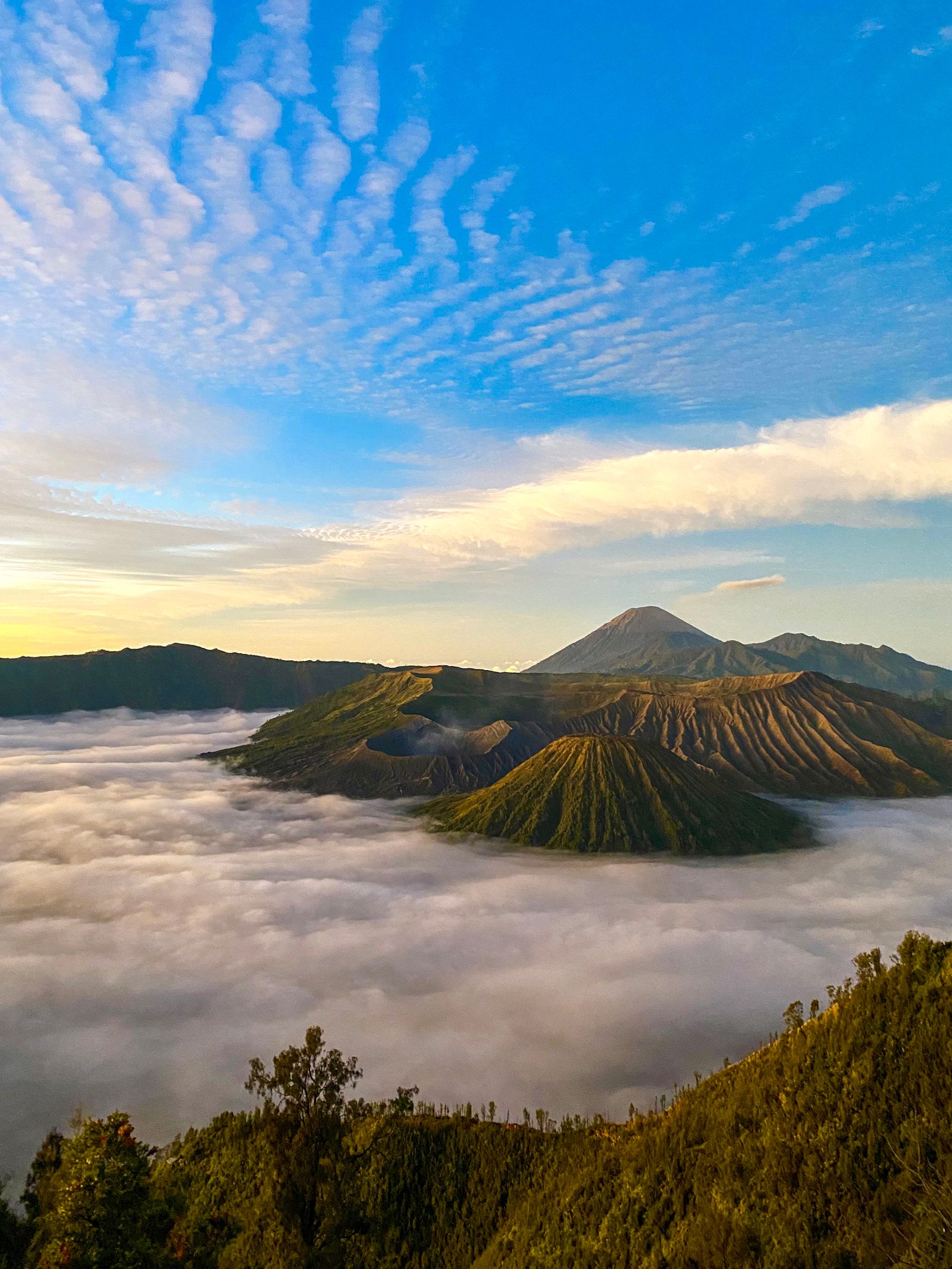 Bromo