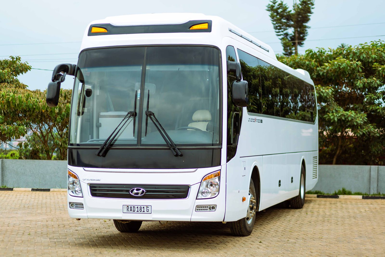 Rent Bus